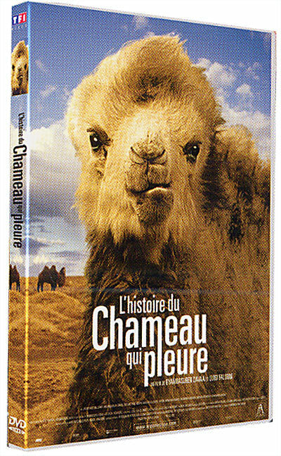 L'histoire du chameau qui pleure - Davaa, Byambasuren, Falorni, Luigi - DVD