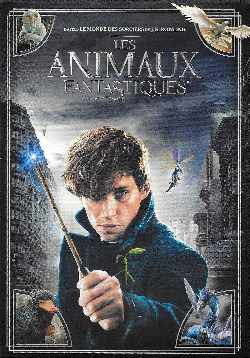 LES ANIMAUX FANTASTIQUES - Inconnu - DVD