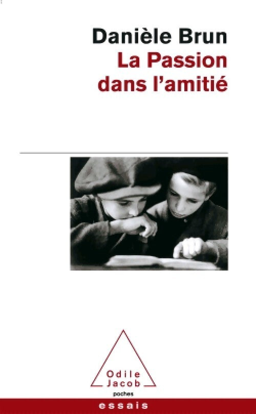 La passion dans l'amitié - Danièle Brun - Livre