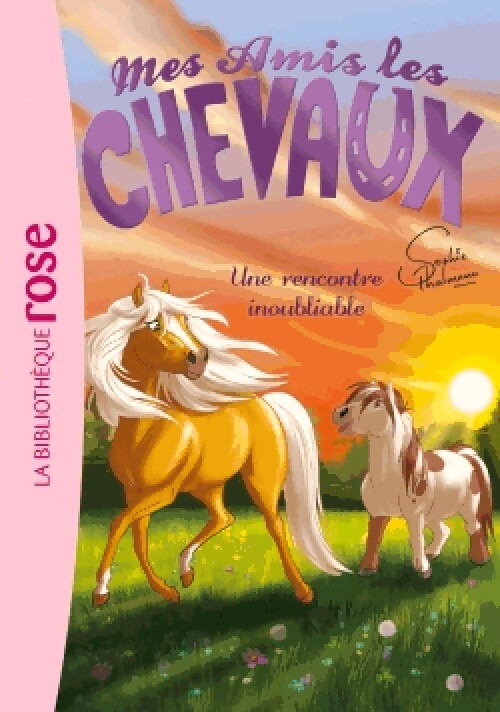 Mes amis les chevaux Tome VI : Une rencontre inoubliable - Collectif - Livre