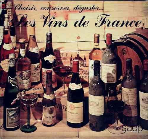 Les vins de France - René Mignon - Livre