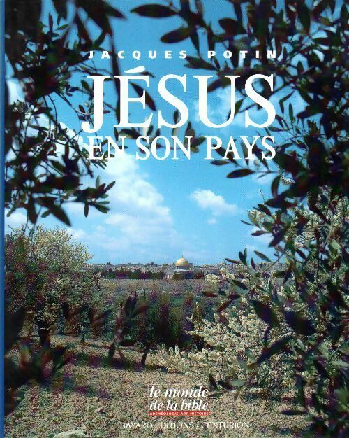 Jésus en son pays - Jacques Potin - Livre
