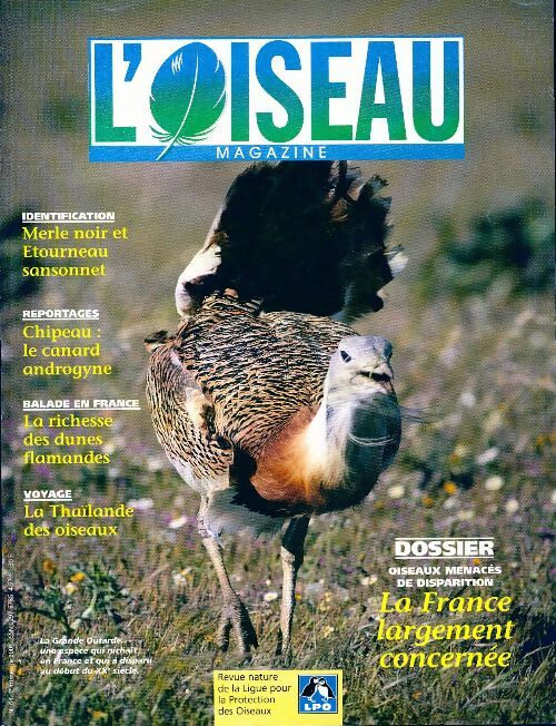 L'oiseau mag n°64 : La France largement concernée - Collectif - Livre