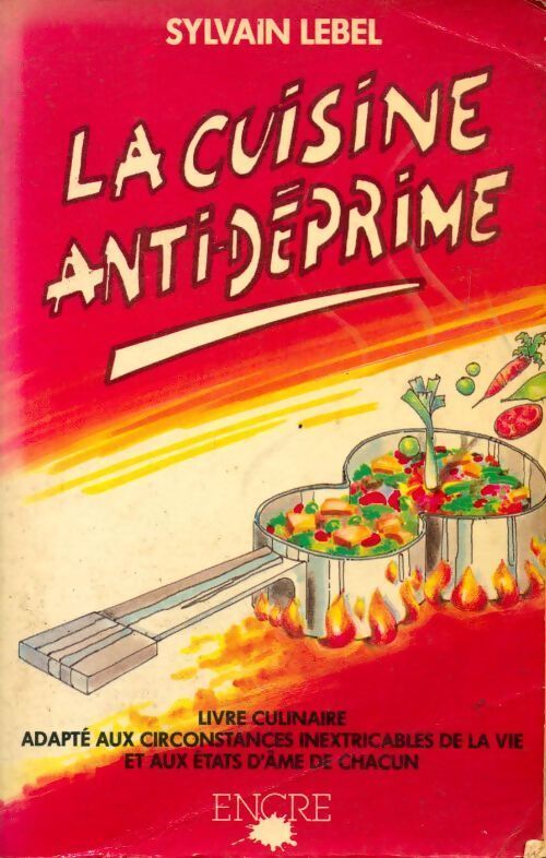 La cuisine anti-déprime - Sylvain Lebel - Livre