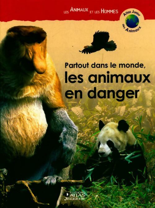 Partout dans le monde, les animaux en danger - Collectif - Livre