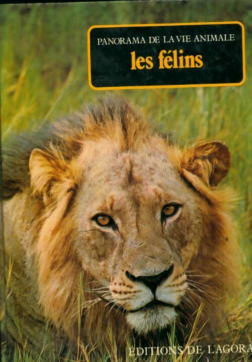 Les félins - Collectif - Livre
