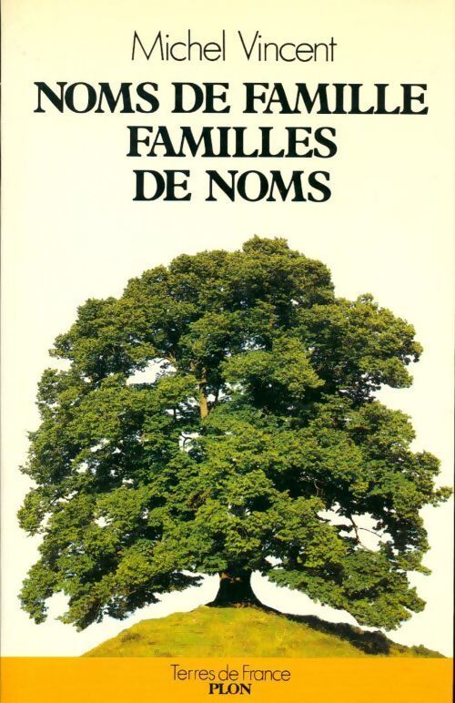 Noms de famille, familles de noms - Michel Vincent - Livre