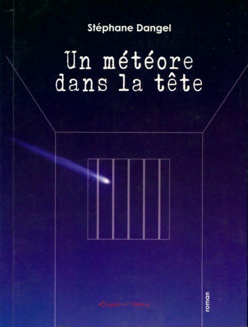 Un météore dans la tête - Stéphane Dangel - Livre