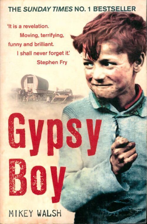 Gypsy boy - Walsh Mikey - Livre