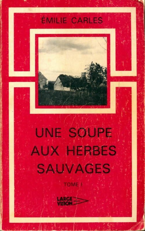 Une soupe aux herbes sauvages Tome I - Emilie Carles - Livre