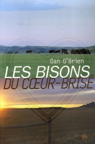 Les bisons du coeur-brisé - Dan O'Brien - Livre