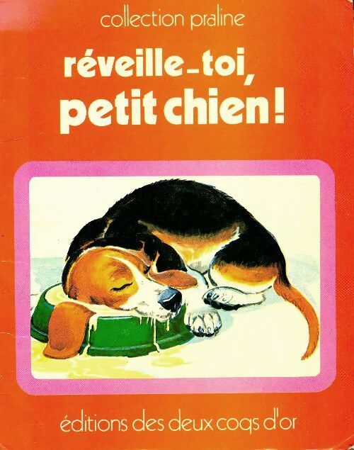Réveille-toi, petit chien - M.J Chamberlin - Livre