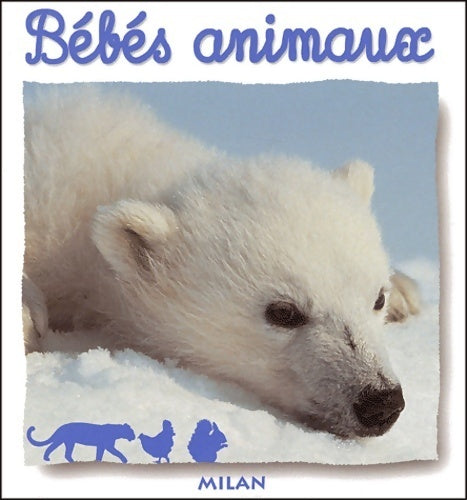 Bébés animaux - Natacha Fradin - Livre
