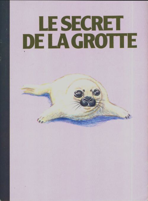 Le secret de la grotte - Aidan Chambers - Livre