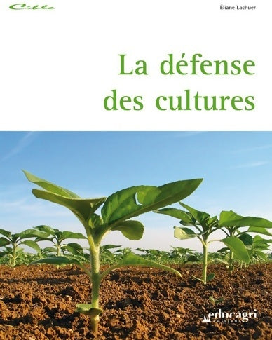 Cats & kittens - Collectif - Livre