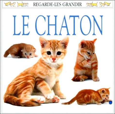 En route pour la vallée de la Loire et les châteaux ! - Itak Editions - Livre