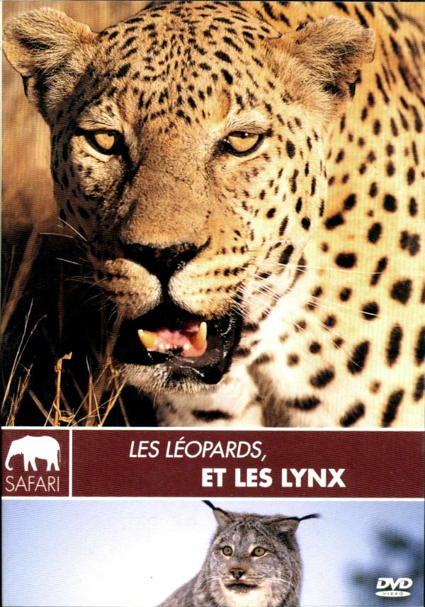Les Léopards et les Lynx - Ross, John - DVD
