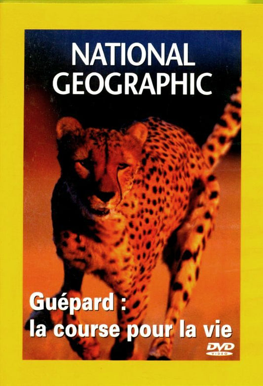 National Geographic : Guépard, la course pour la vie - Inconnu - DVD
