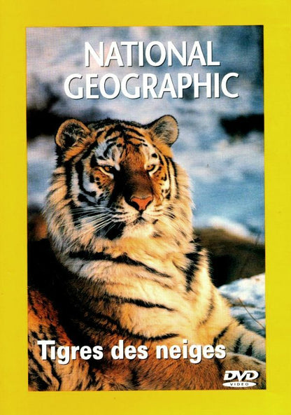 National Geographic : Tigres des neiges - Inconnu - DVD