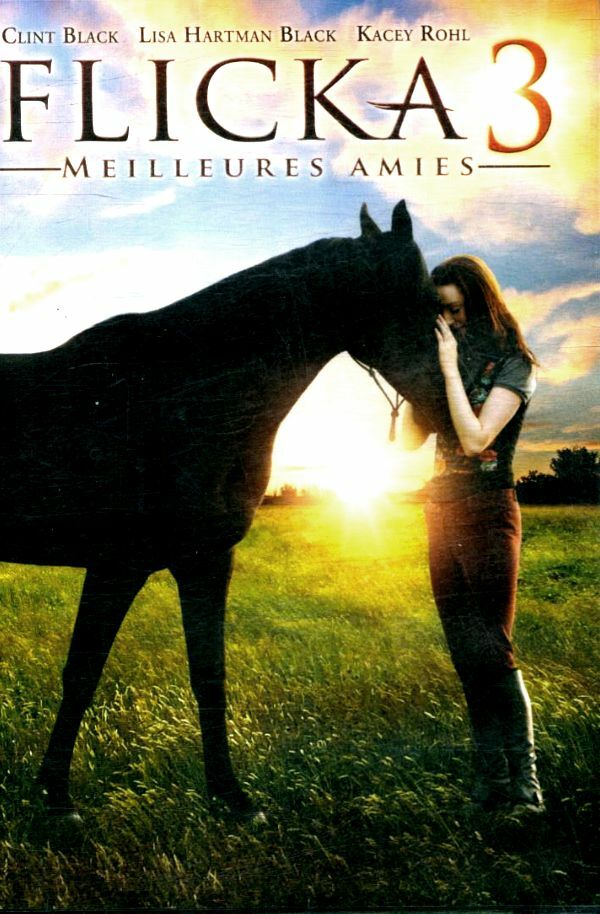 Flicka 3 : Meilleures amies - Michael Damian - DVD