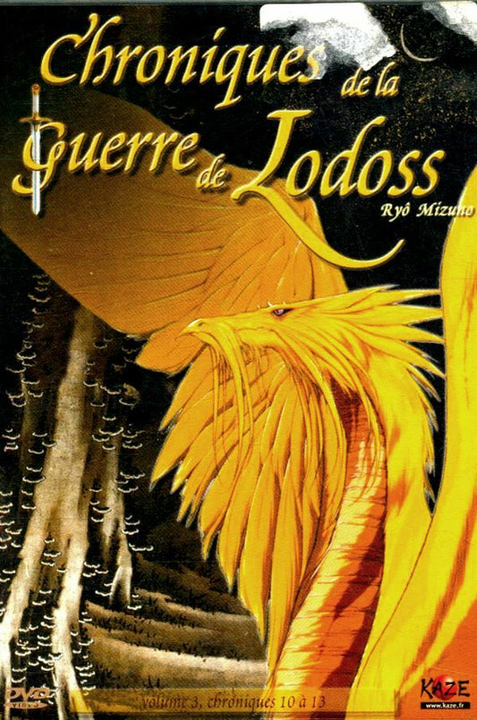 Chroniques de la guerre de Lodoss - Vol.3 (4 épisodes) - Ryô Mizuno, Hitoshi Yasuda - DVD