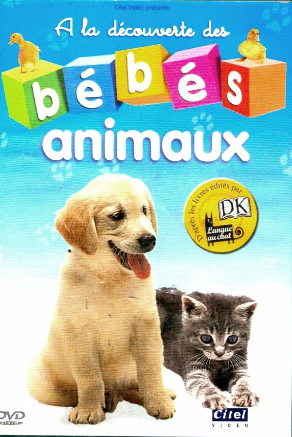 A la découverte des bébé animaux - Antoine Lassaigne - DVD