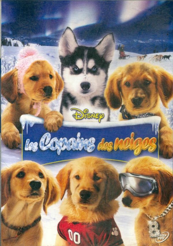 Les Copains des neiges - Robert Vince - DVD