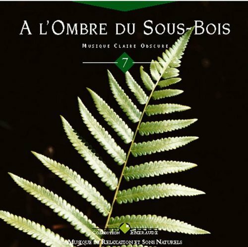 A l'ombre du sous-bois - Olivier Renoir - CD
