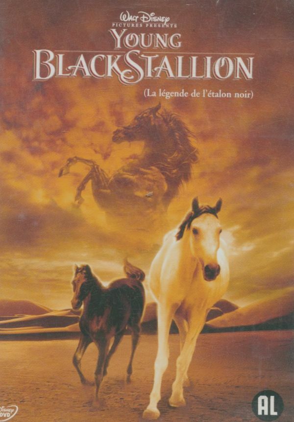 Young BlackStallon - Inconnu - DVD