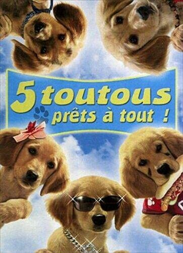 5 toutous prets a tout! - Robert Vince - DVD