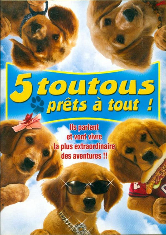 5 toutous prets a tout! - Robert Vince - DVD