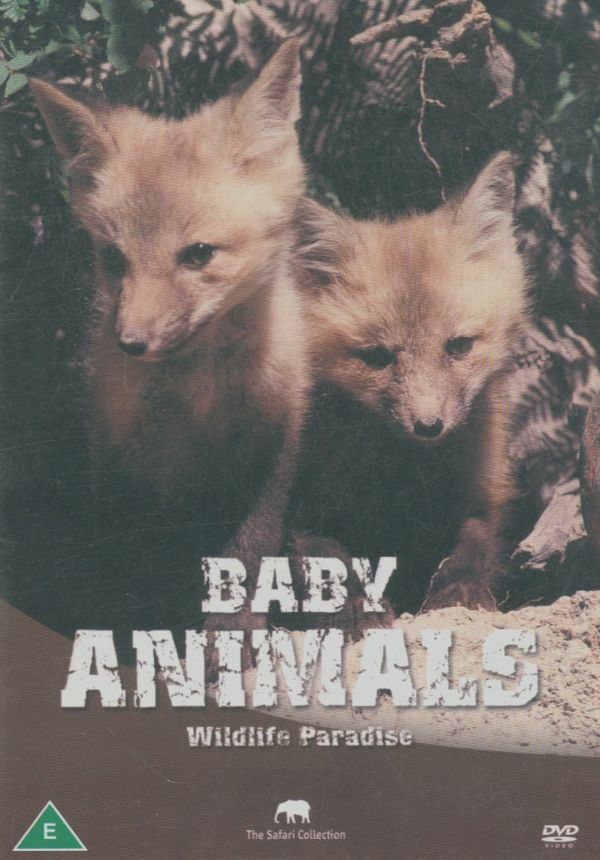 Wildlife Paradise - Baby Animals - Inconnu - DVD