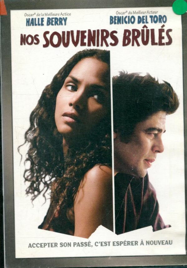 Nos Souvenirs brûlés - Susanne Bier - DVD