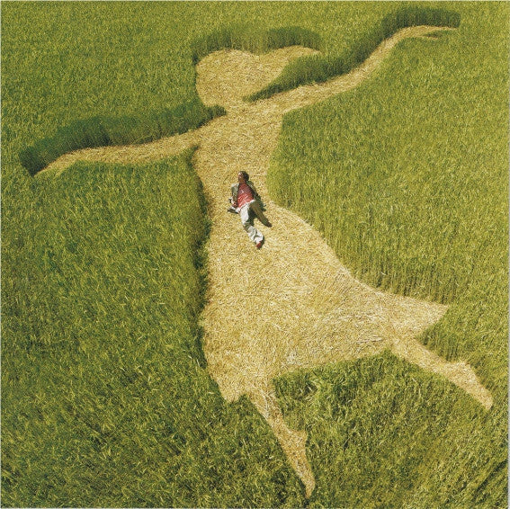 Franck Monnet - Au Grand Jour - Franck Monnet - CD