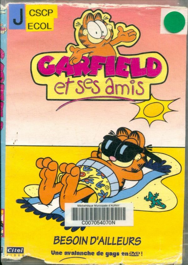 Garfield et ses amis : Besoin d'ailleurs - Tom Tataranowicz - DVD