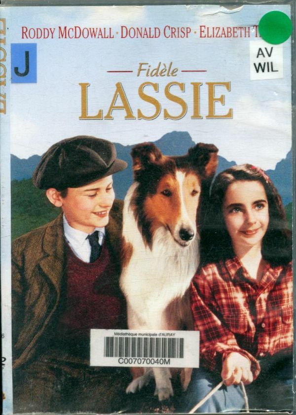 Fidèle Lassie - Fred M. Wilcox - DVD