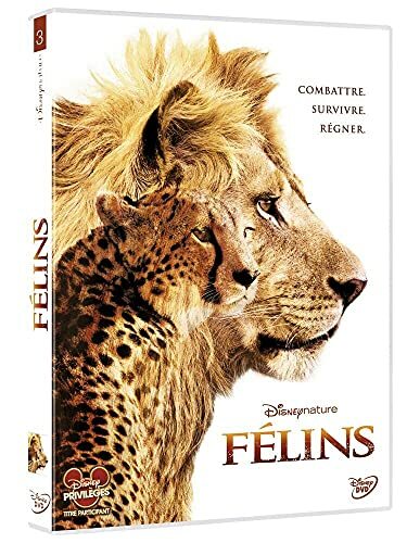Félins - Scholey, Keith, Fothergill, Alastair - DVD