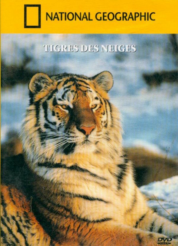 National Geographic : Tigres des neiges - Inconnu - DVD