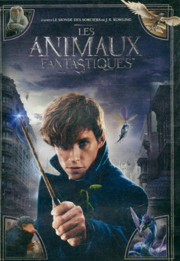 Les Animaux fantastiques - Le monde des Sorciers de J.K. Rowling - Dvd - David Yates - DVD