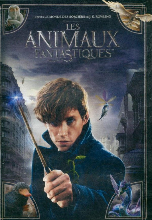 Les Animaux fantastiques - Le monde des Sorciers de J.K. Rowling - Dvd - David Yates - DVD