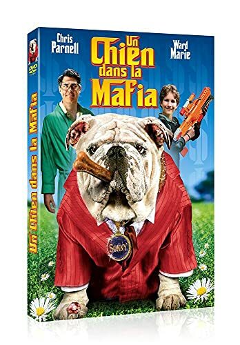 Un Chien Dans La Mafia - Inconnu - DVD