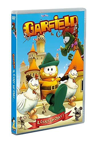 Garfield & Cie Vol. 11 : Il était un chat - Philippe Vidal - DVD