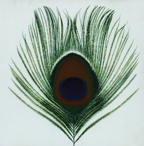 Xtc - Apple venus volume 1 - XTC - CD
