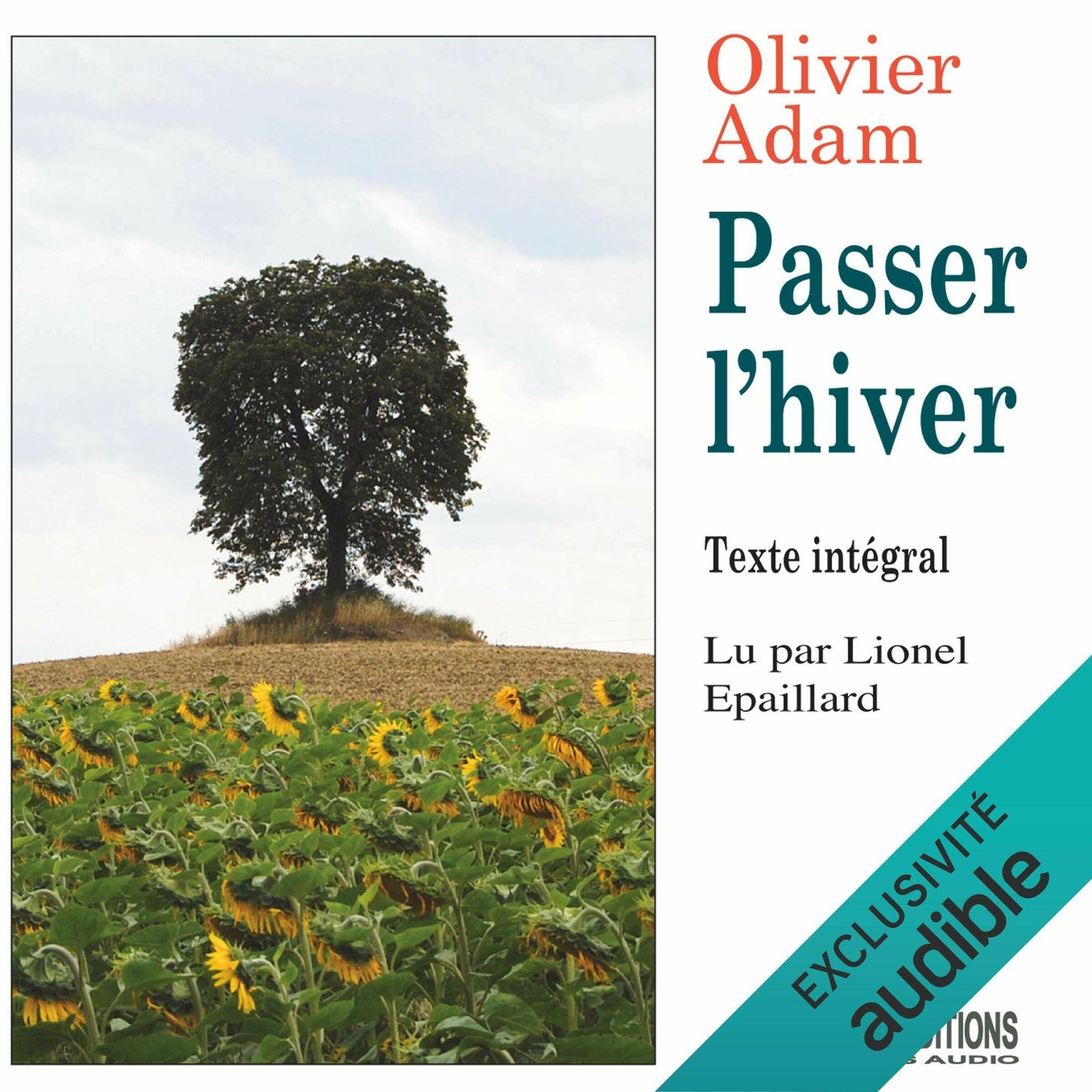 Olivier Adam - Passer l'hiver 2 cd - Olivier Adam - CD