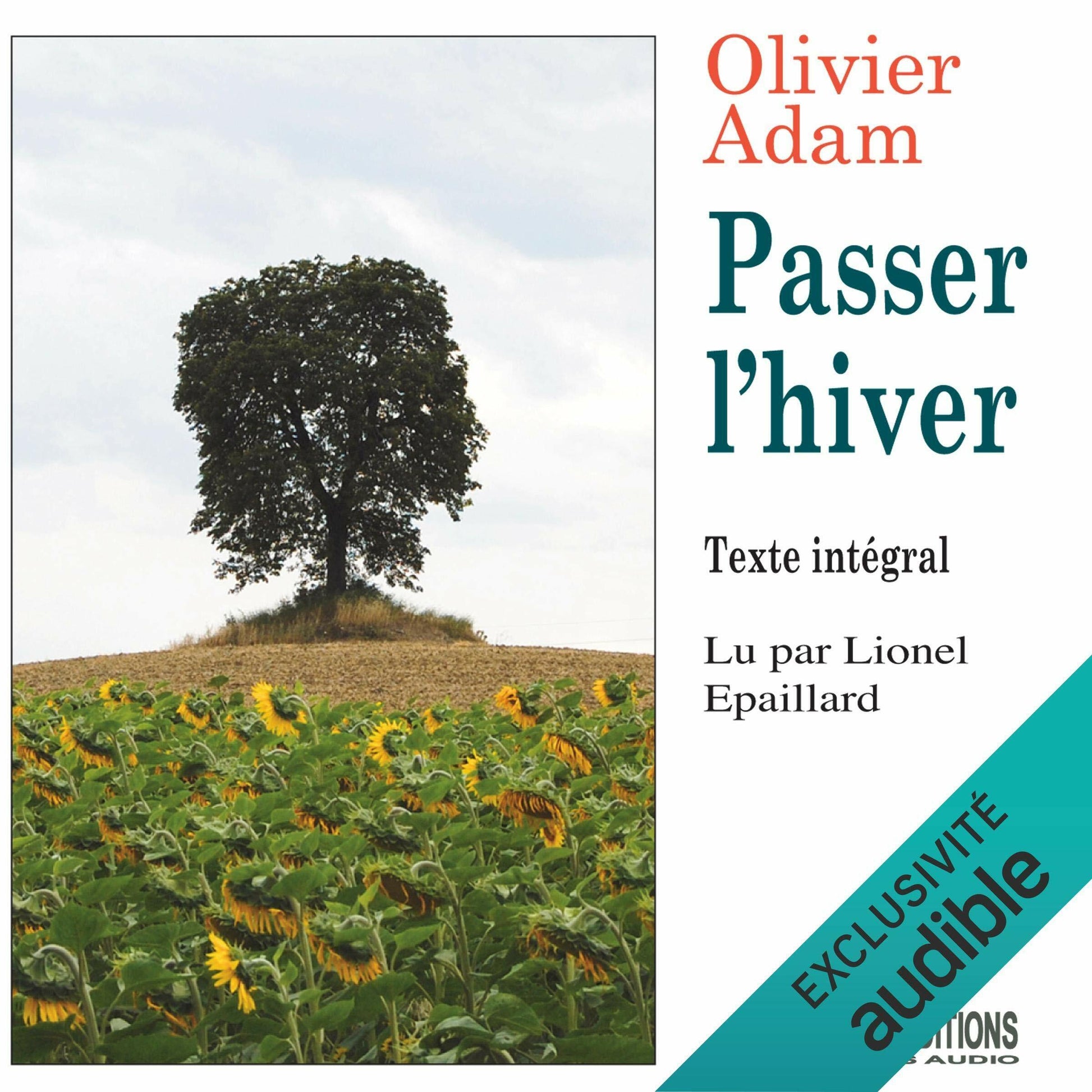 Olivier Adam - Passer l'hiver 2 cd - Olivier Adam - CD