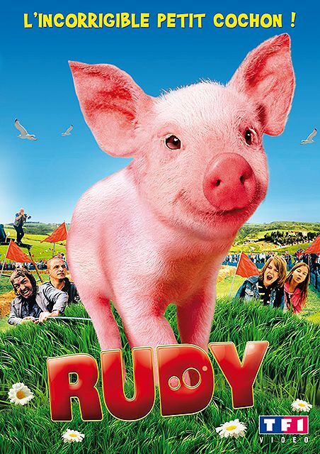 Rudy, l'incorrigible Petit Cochon - Peter Timm - DVD
