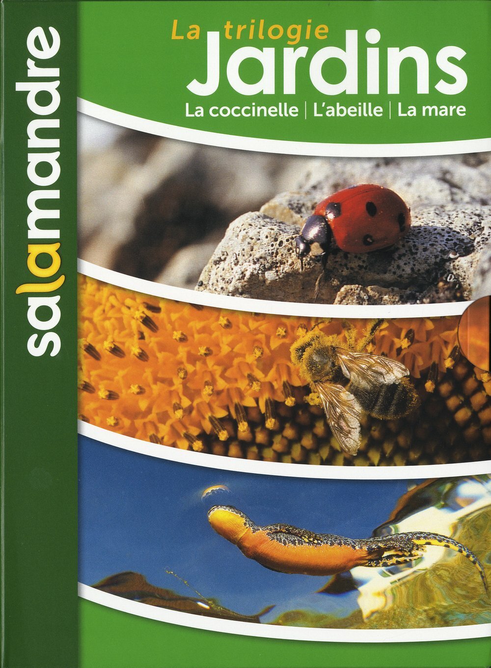 La trilogie jardins : Sur la piste des coccinelles, la révolution des abeilles, les héros de la mare - Inconnu - DVD