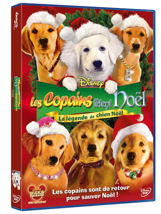 Les copains fêtent Noël - Robert Vince - DVD