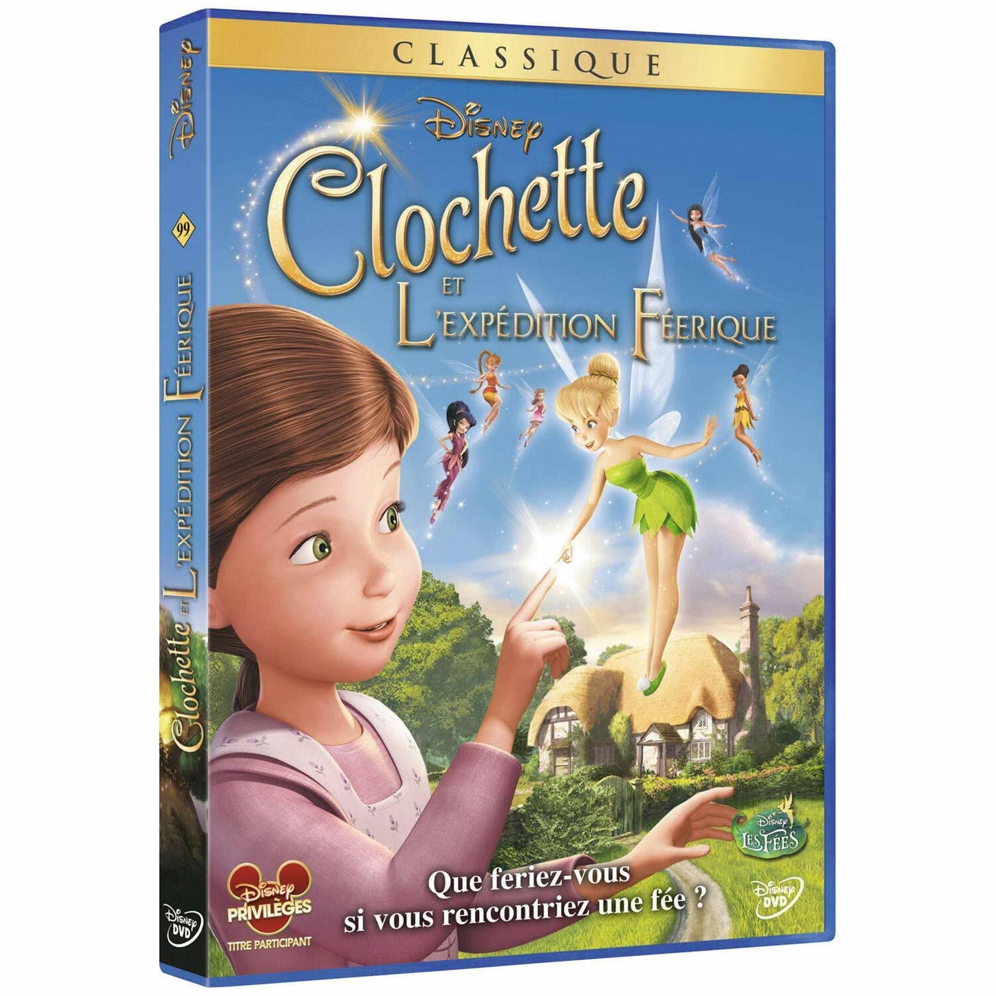 Clochette et l'expédition féérique - Bradley Raymond - DVD