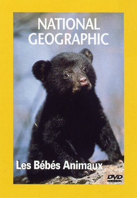 National geographic : Les bébés animaux - Inconnu - DVD